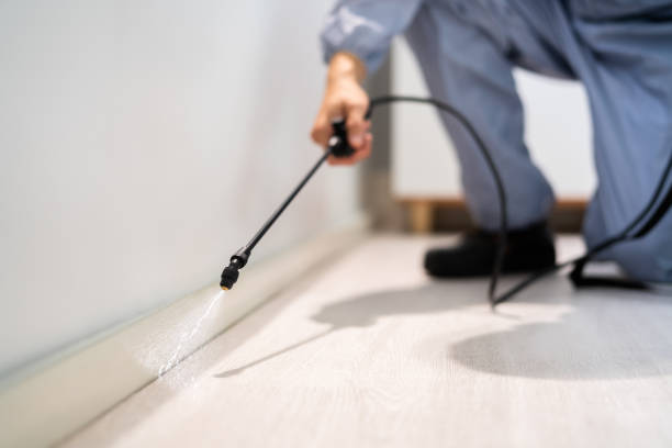 Licensed Pest Control service in Junction, TX - Show Me Pest Control