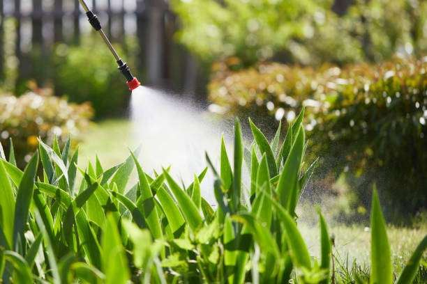 Tamper-Resistant Bait Stations for Rodents in Junction