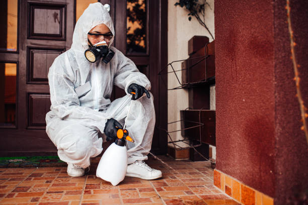 Attic and Crawl Space Rodent Treatment in Junction